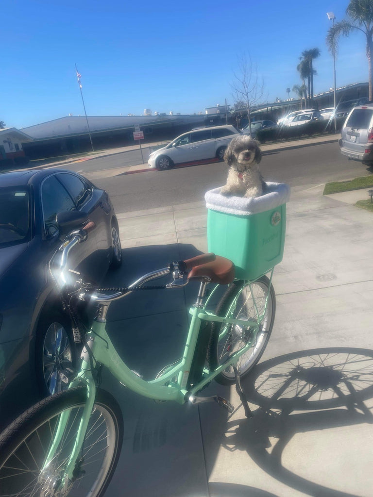 ~ Ramie and "Huxley" in Huntington Beach, CA ~