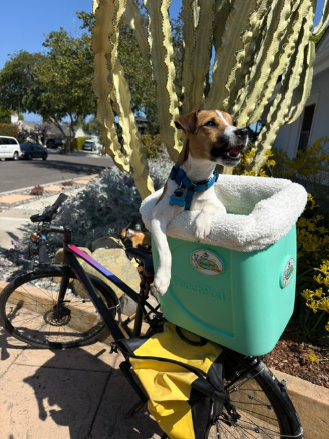 ~ Colby ~ Santa Barbara, CA ~