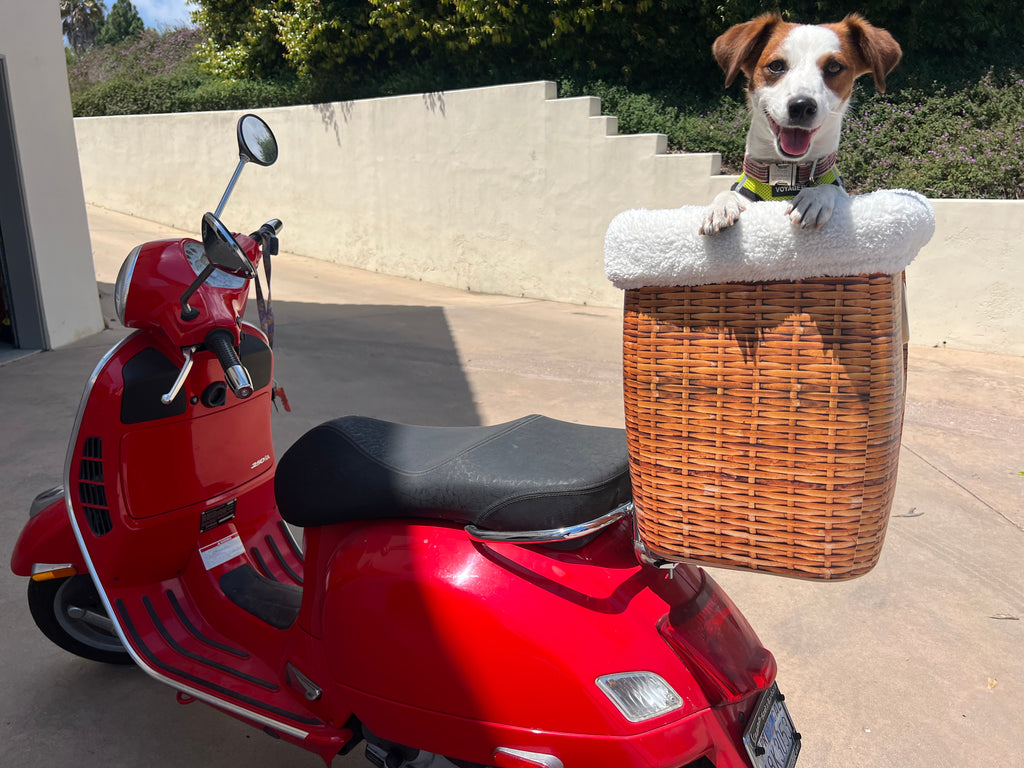 ~ Nanette and "Annie" ~ Santa Barbara, CA