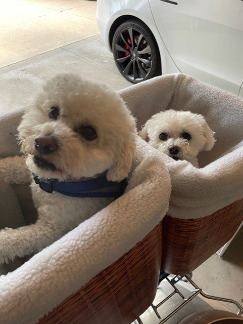 ~ "Pete" and "Cuddles" in Wisconsin ~