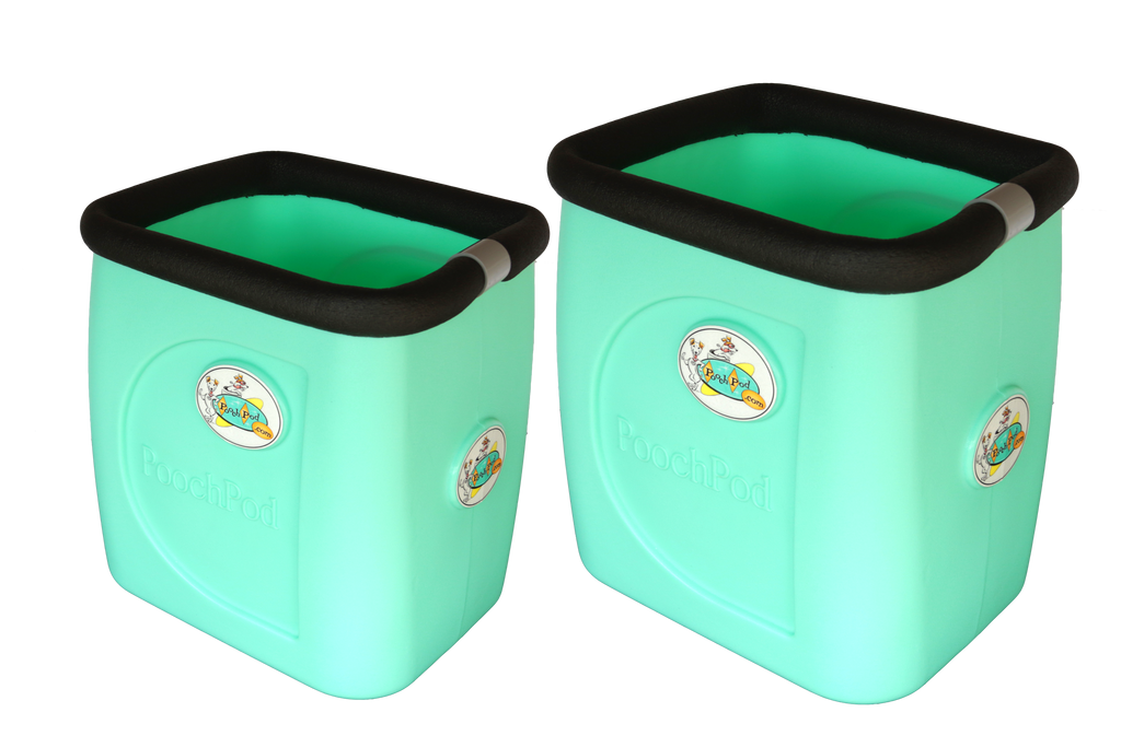 Montecito Mint
