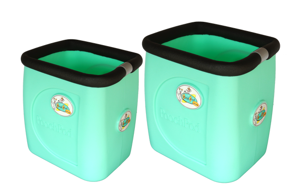 Montecito Mint