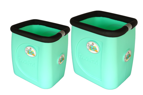 Montecito Mint