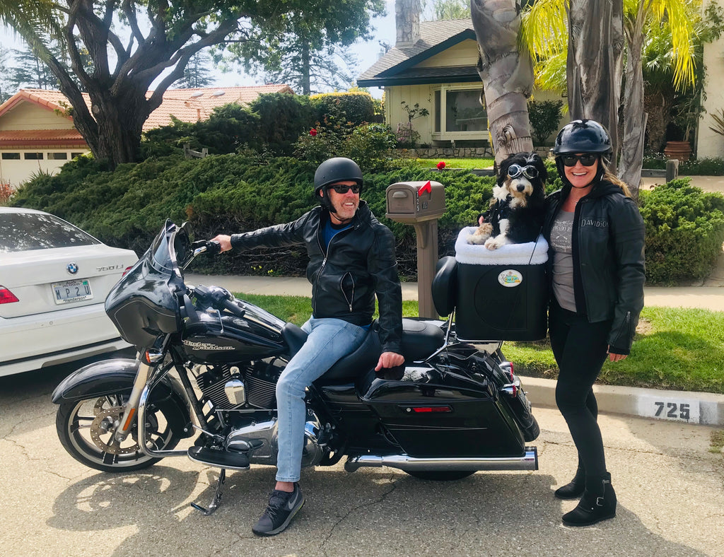 ~ "Summit" on her Harley in her new PoochPod ~ Santa Barbara, Ca